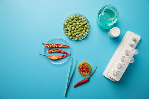 辣椒豌豆食品安全农业科技食品培育摄影图 插画 下载至来源处