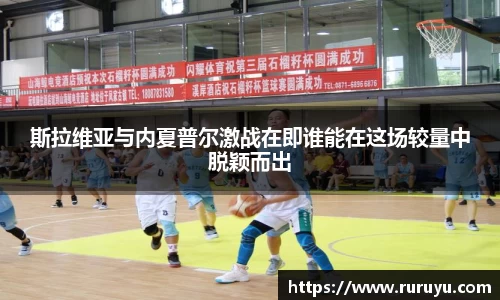 斯拉维亚与内夏普尔激战在即谁能在这场较量中脱颖而出