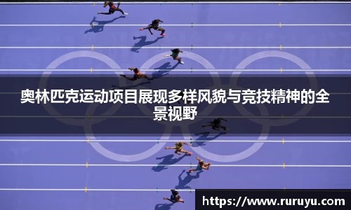 U8国际